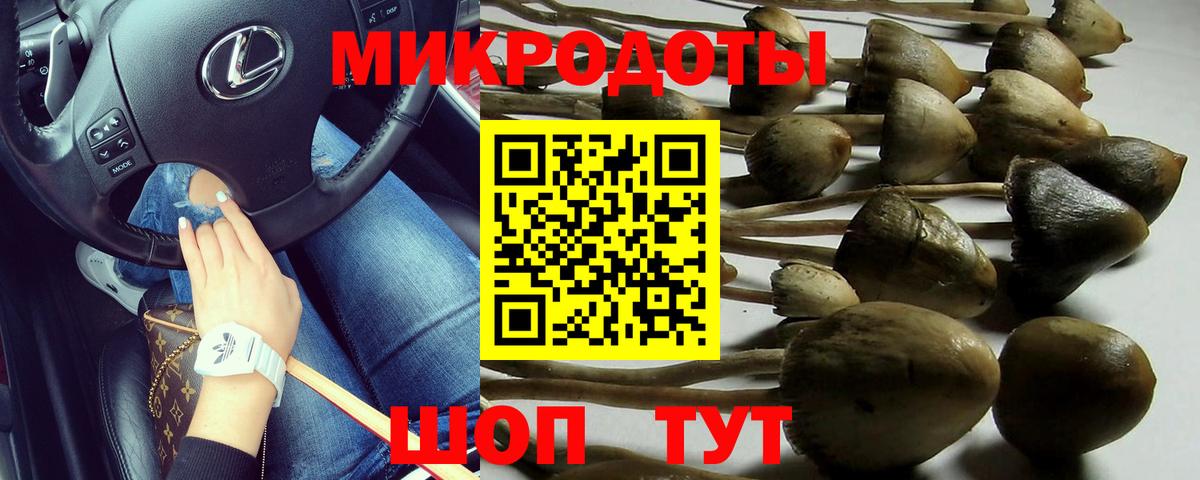 Галлюциногенные грибы Psilocybine cubensis  Вход с VPN  Псилоцибиновые грибы Cubensis  Лангепас 