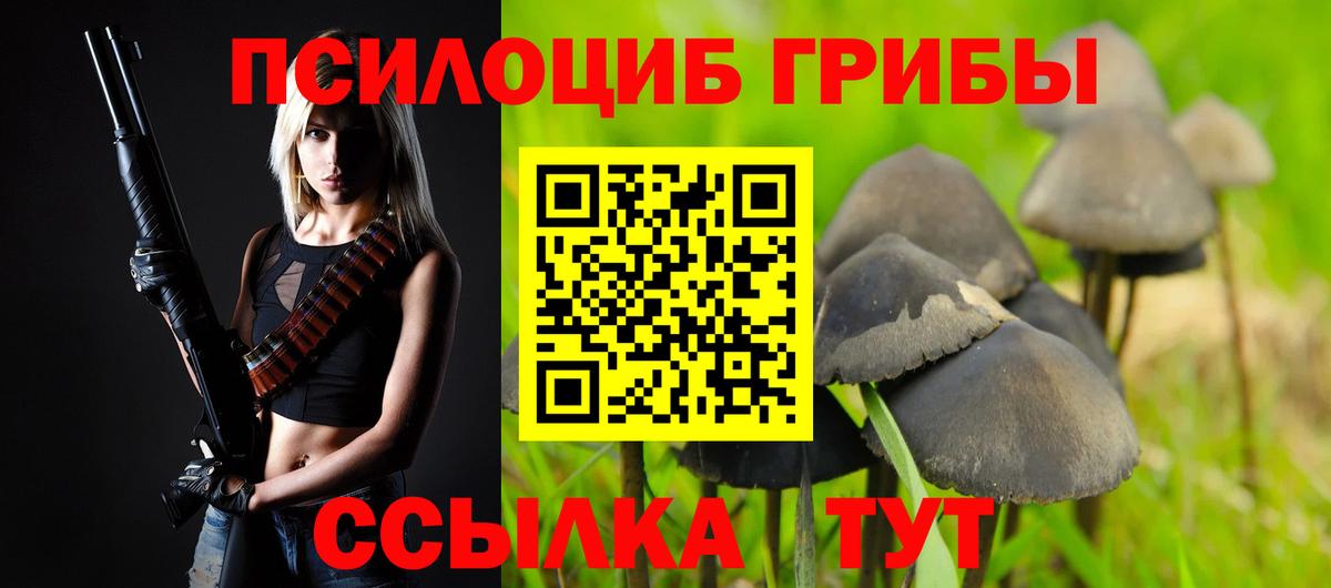 Галлюциногенные грибы Cubensis Лангепас